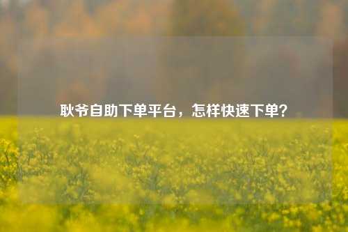 耿爷自助下单平台，怎样快速下单？