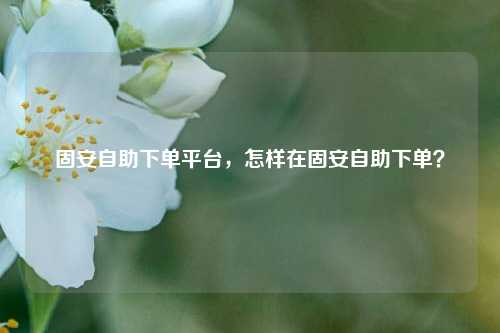 固安自助下单平台，怎样在固安自助下单？