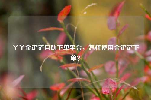 丫丫金铲铲自助下单平台，怎样使用金铲铲下单？