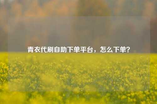 青衣代刷自助下单平台，怎么下单？