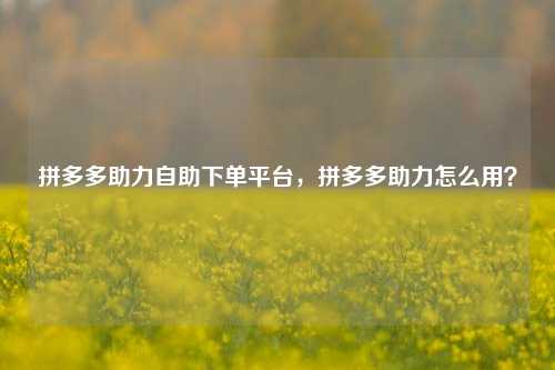 拼多多助力自助下单平台，拼多多助力怎么用？