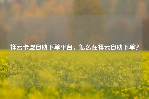 祥云卡盟自助下单平台，怎么在祥云自助下单？