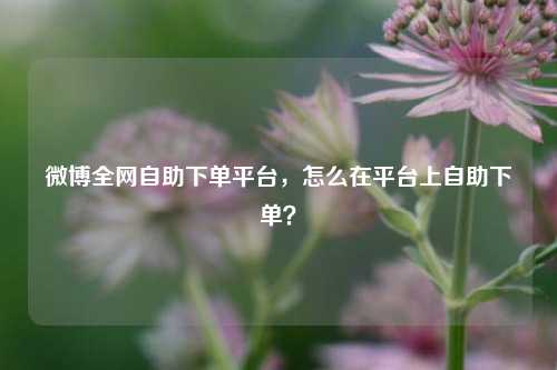 微博全网自助下单平台，怎么在平台上自助下单？