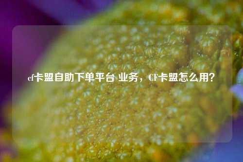 cf卡盟自助下单平台 业务，CF卡盟怎么用？