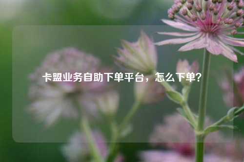 卡盟业务自助下单平台，怎么下单？