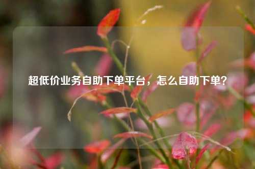 超低价业务自助下单平台，怎么自助下单？