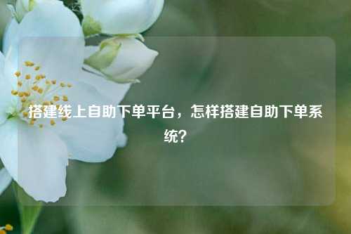搭建线上自助下单平台，怎样搭建自助下单系统？