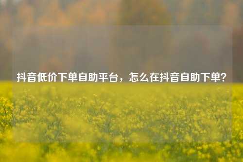 抖音低价下单自助平台，怎么在抖音自助下单？
