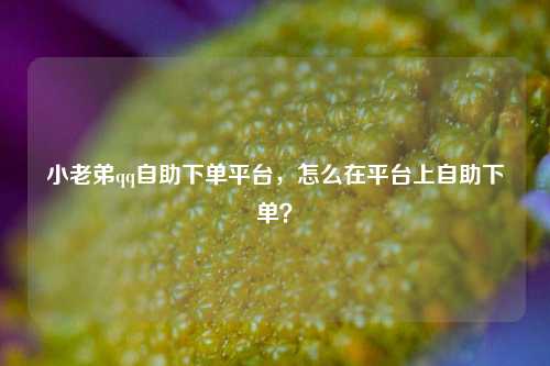 小老弟qq自助下单平台，怎么在平台上自助下单？
