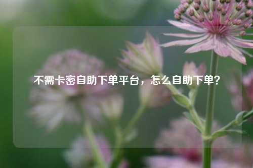 不需卡密自助下单平台，怎么自助下单？