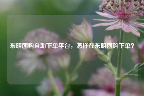 东明团购自助下单平台，怎样在东明团购下单？