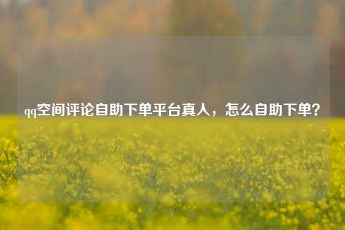 qq空间评论自助下单平台真人，怎么自助下单？