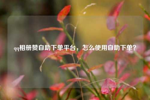 qq相册赞自助下单平台，怎么使用自助下单？