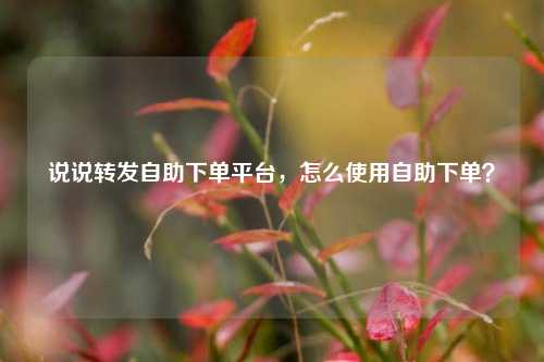 说说转发自助下单平台，怎么使用自助下单？