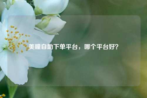 美瞳自助下单平台，哪个平台好？